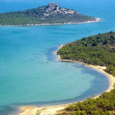 Baturcan Ayvalı